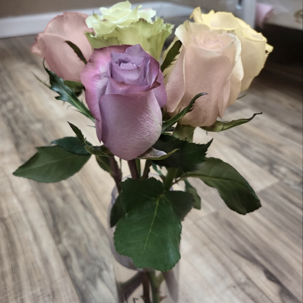 Meet your Posher, Ann